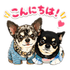 sykaaa_20260428182906