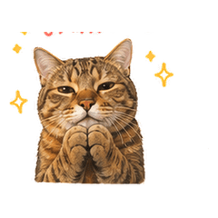 Moody Daily Cat Stickers