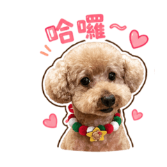 黃mini