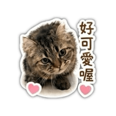 Roro mimi