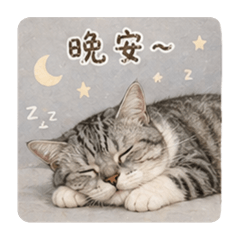 一歲の丸٩( ᐖ )۶