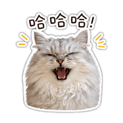 Miku的情緒小劇場