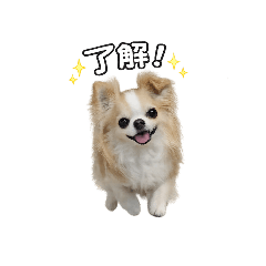 takami_20260428182947