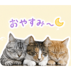 napi_20260428184252