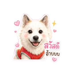 AngpaoMammam