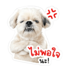 Its_pw_20260428125643