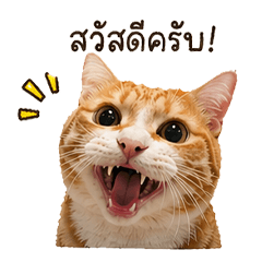 MonmonMeowSom