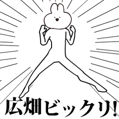 Rabbit Name hirohata.moves!