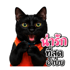 Khao Hom Nil