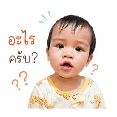 fishlover_20260427184646