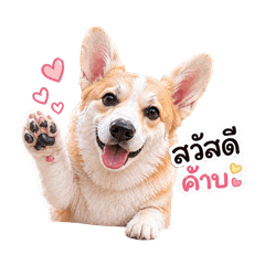Moonum Corgi: Cute Daily Stickers