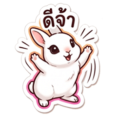 Hime Rabbit
