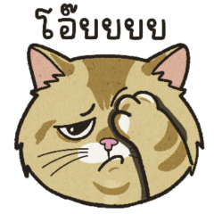 My cat's name is Heng