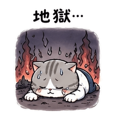 A message from cat dad 2