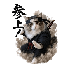Ninja Mokemaru