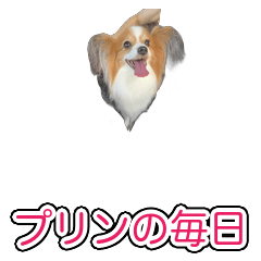 Papillon Purin's Daily Stickers
