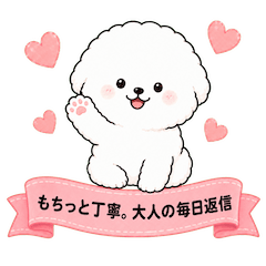 Soft and Polite Daily Replies