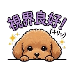 Say It All, Poodle