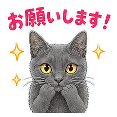 Daily Stickers of the Gray Cat