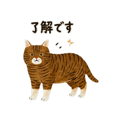 Casual Polite Tabby Cat Stickers