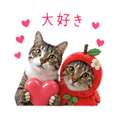 Mocha & Latte Costume Stickers