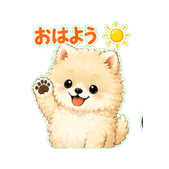 MAINITI POMERANIAN