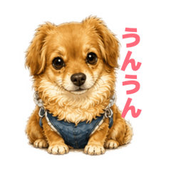 Happinessaroma_20260428191801