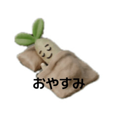 Moyasi_20260428192400