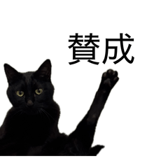 teto._20260428192306