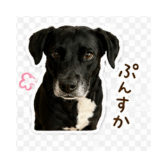 Muchan_20260428202708