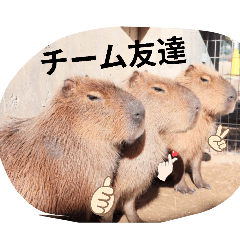 kuuga_20260428192748