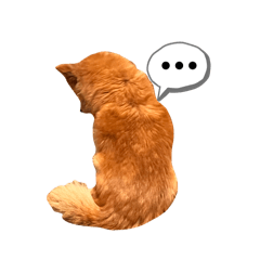 wakuwakusan_20260428193728