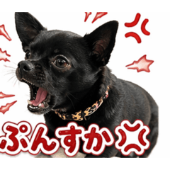 mugimai_20260423103349