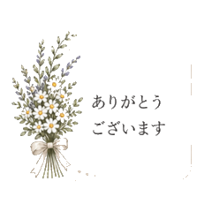 Polite Japanese Phrases with Flowers