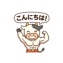 muscular cow