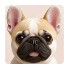 Shaboz_20260428190351z