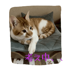 kupirumio_20260428201338