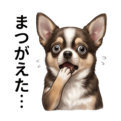 Mentally unstable chihuahua