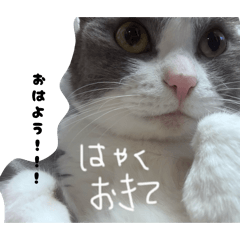 R_20260428202156