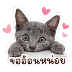 Chonthicha_20260428150913