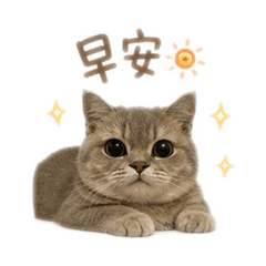 蘿拉（可愛篇）
