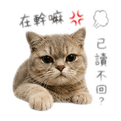 蘿拉（生氣篇）
