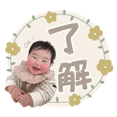 Ciela_20260428204826