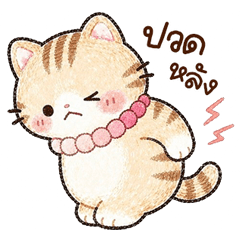 meowbobo <3