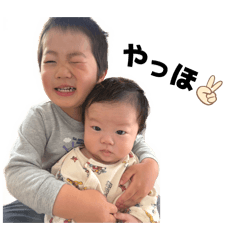 koimo_20260428204856