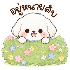 น้องหมาบับเบิ้ล บิ้กๆ <3