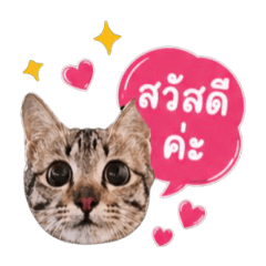 Milim_20260427190404