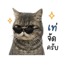 FANG.KO_20260428181742