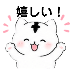 Cham's_20260428210416