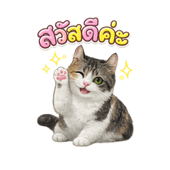 test888